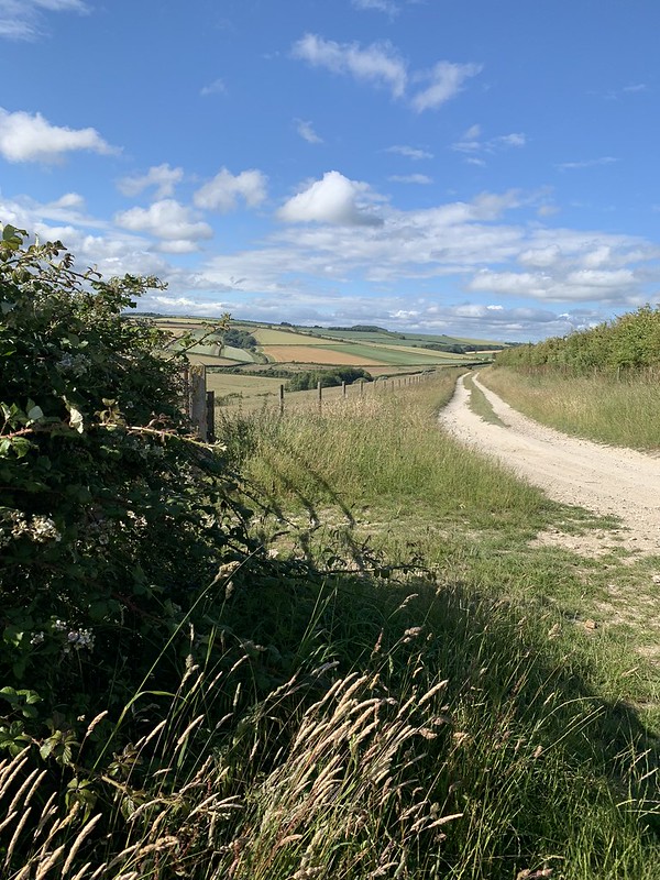 Above Wepham Village